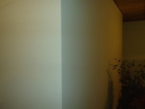Покраска стен - Светло-салатовый цвет